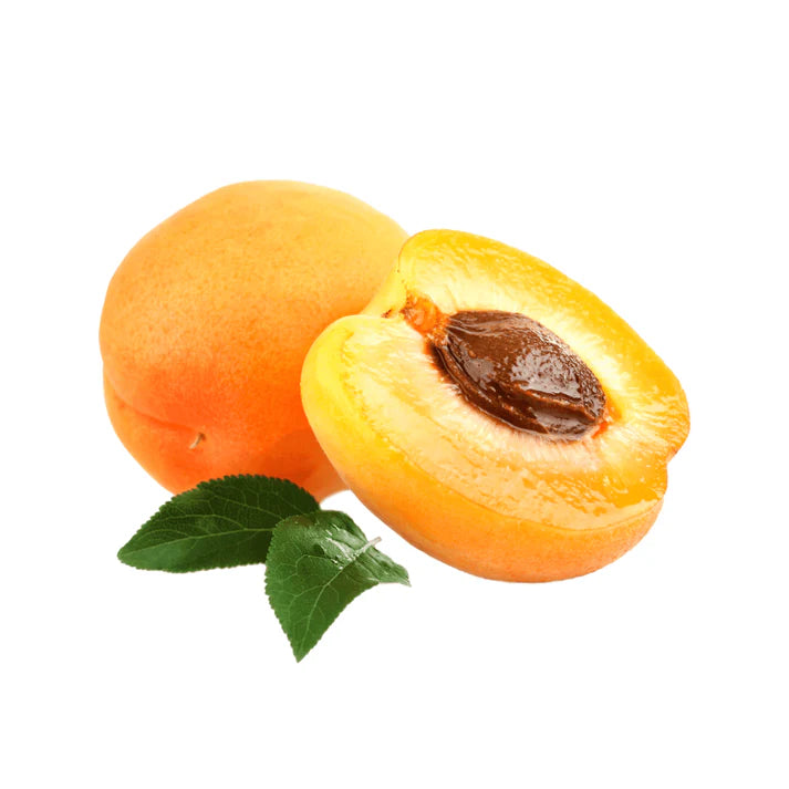 Prunus Armeniaca (Apricot Bulida)