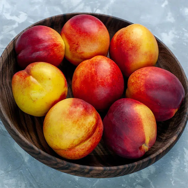 Prunus Persica (Nectarine Tuscany)