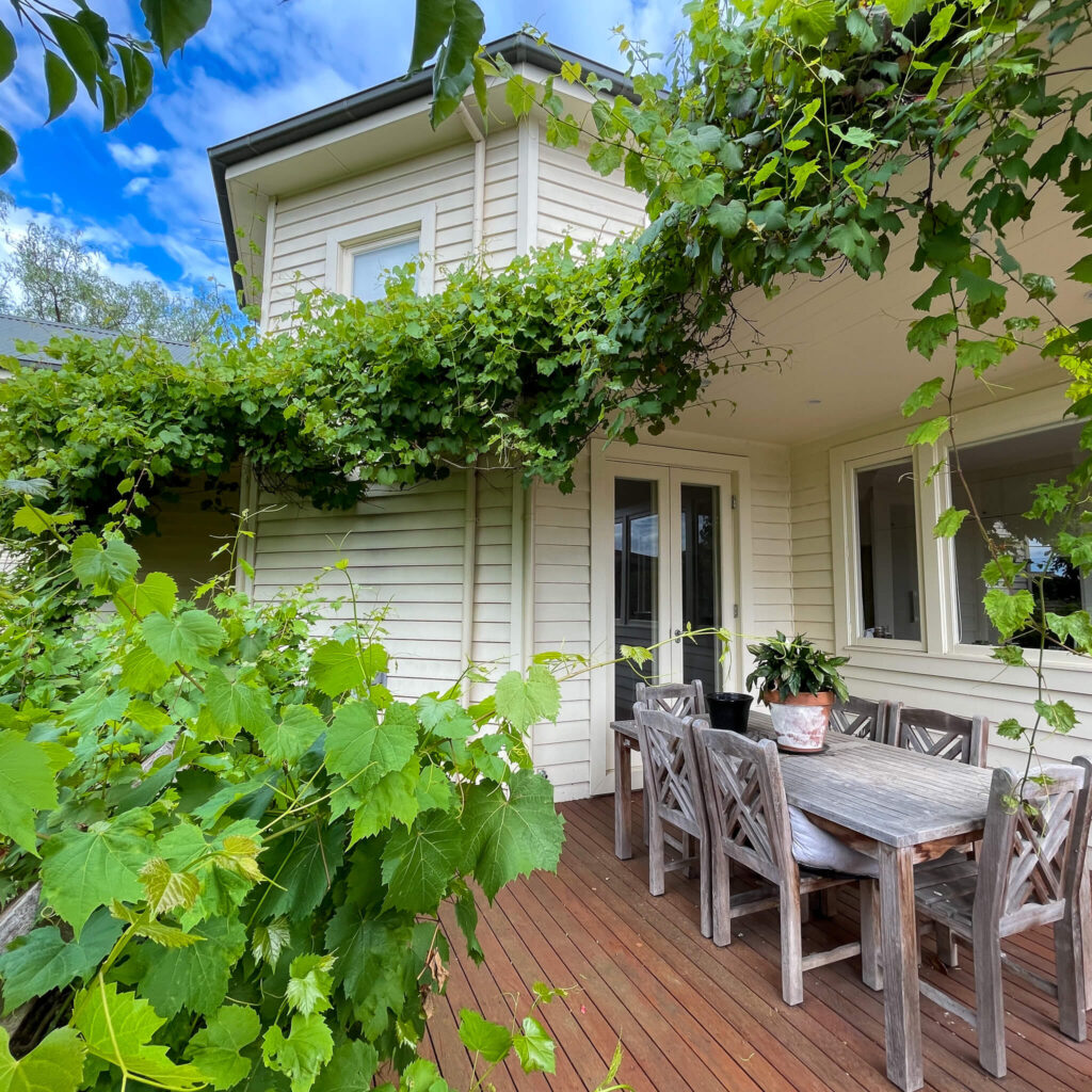 Ornamental Grape vine providing natural shade in a landscaped backyard.